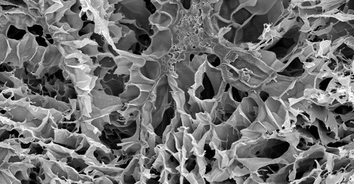 SEM / Sample A