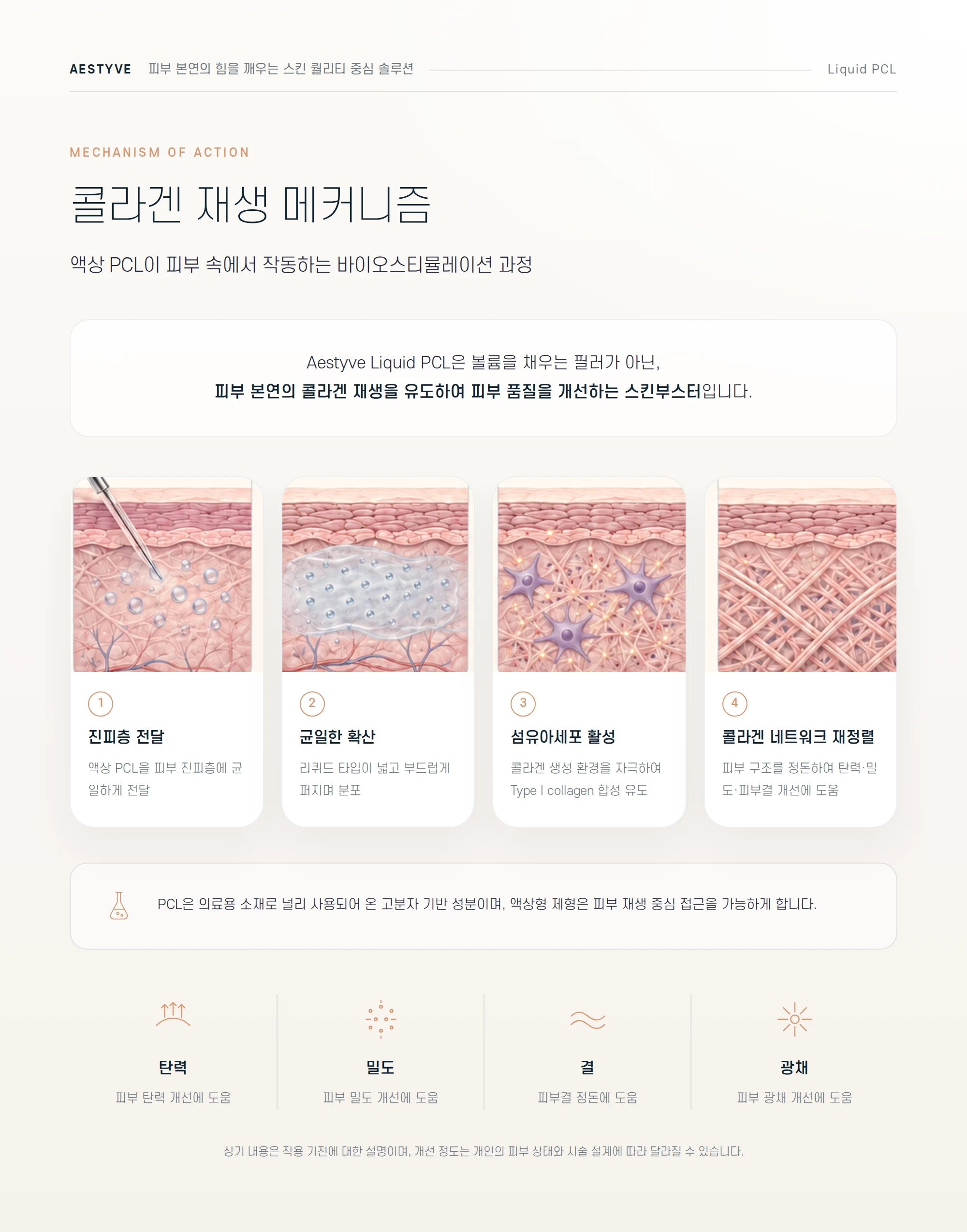 콜라겐 재생 메커니즘