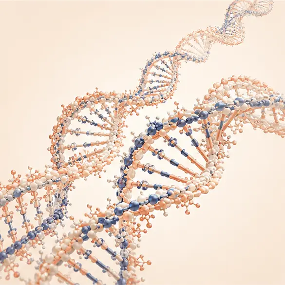 긴 사슬 Polynucleotide 분자 구조 이미지